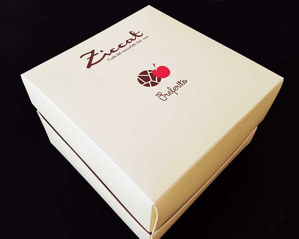 Scatola con coperchio ZIccat