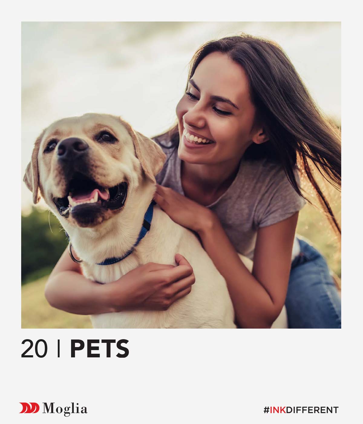 Animali