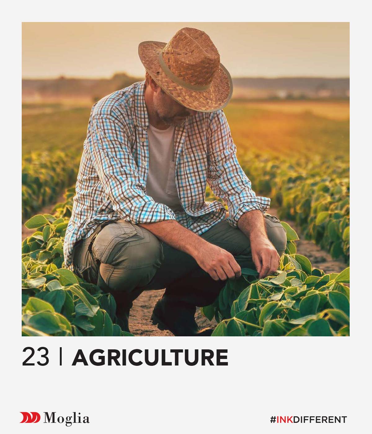Agricoltura